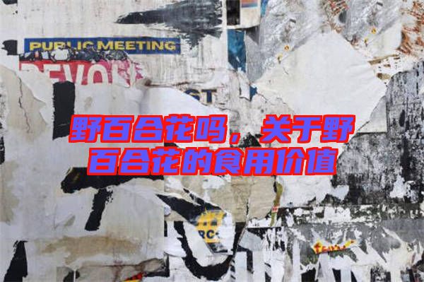 野百合花嗎,關于野百合花的食用價值