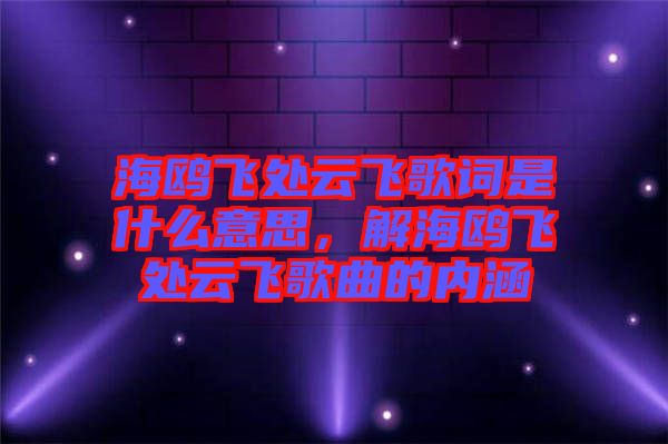 海鷗飛處云飛歌詞是什么意思，解海鷗飛處云飛歌曲的內涵