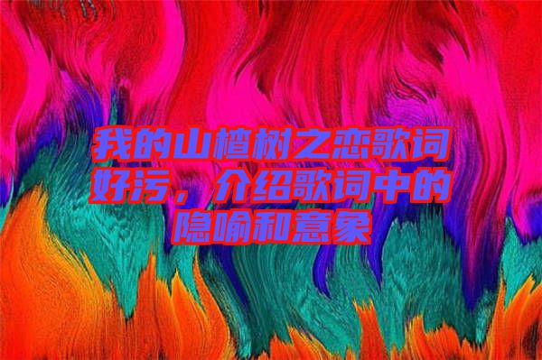 我的山楂樹之戀歌詞好污,介紹歌詞中的隱喻和意象