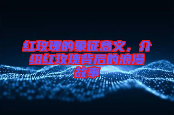 紅玫瑰的象征意義,介紹紅玫瑰背后的浪漫故事