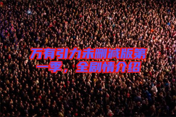 萬有引力未刪減版第一季,全劇情介紹