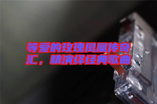 等愛的玫瑰鳳凰傳奇匯,精演繹經典歌曲