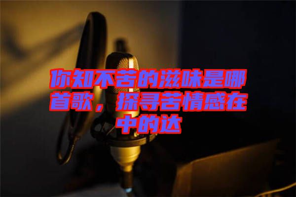 你知不苦的滋味是哪首歌,探尋苦情感在中的達