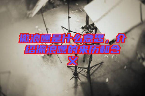 撒浪嘿是什么意思,介紹撒浪嘿的來歷和含義