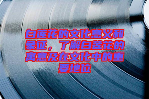 白蓮花的文化意義和象征，了解白蓮花的寓意及在文化中的重要地位