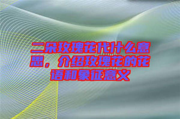 二朵玫瑰花代什么意思,介紹玫瑰花的花語和象征意義