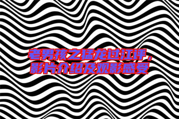 老男孩之猛龍過江評,影片介紹及觀影感受