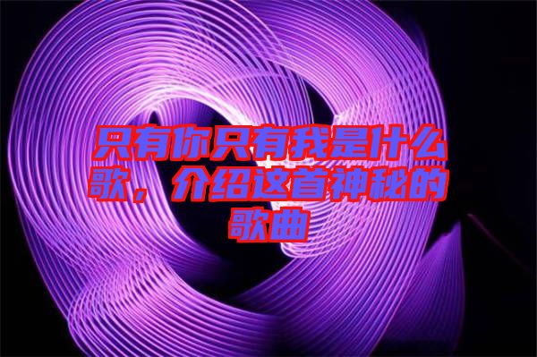 只有你只有我是什么歌,介紹這首神秘的歌曲