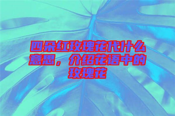 四朵紅玫瑰花代什么意思,介紹花語中的玫瑰花