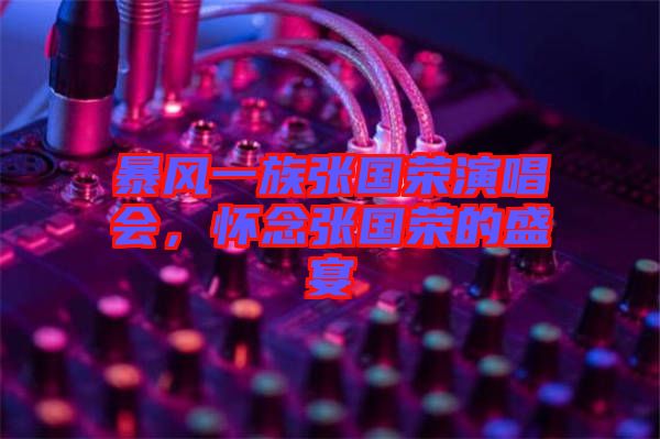 暴風(fēng)一族張國(guó)榮演唱會(huì),懷念張國(guó)榮的盛宴