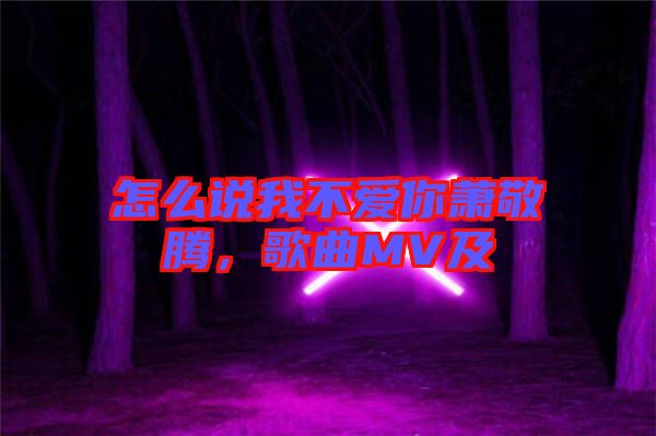 怎么說我不愛你蕭敬騰，歌曲MV及