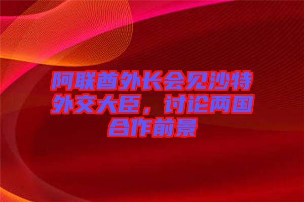 阿聯酋外長會見沙特外交大臣,討論兩國合作前景