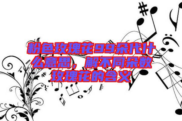 粉色玫瑰花99朵代什么意思,解不同朵數(shù)玫瑰花的含義