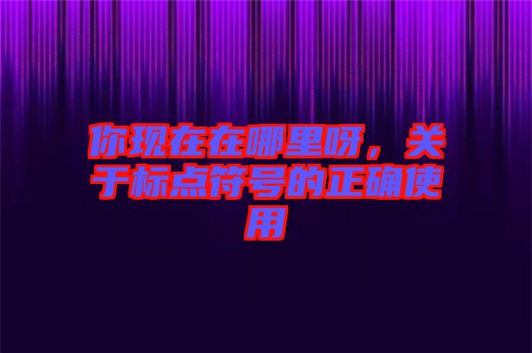 你現在在哪里呀,關于標點符號的正確使用