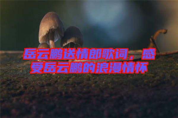 岳云鵬送情郎歌詞,感受岳云鵬的浪漫情懷