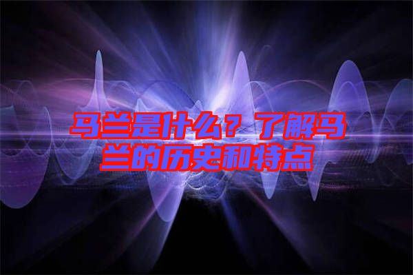 馬蘭是什么?了解馬蘭的歷史和特點(diǎn)