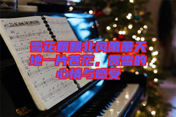 雪花飄飄北風蕭蕭天地一片蒼茫,賞雪的心情與感受