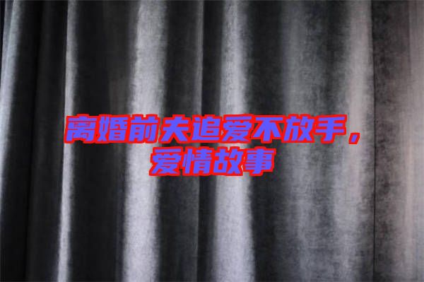 離婚前夫追愛不放手，愛情故事