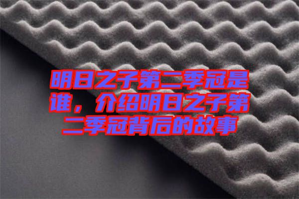 明日之子第二季冠是誰，介紹明日之子第二季冠背后的故事