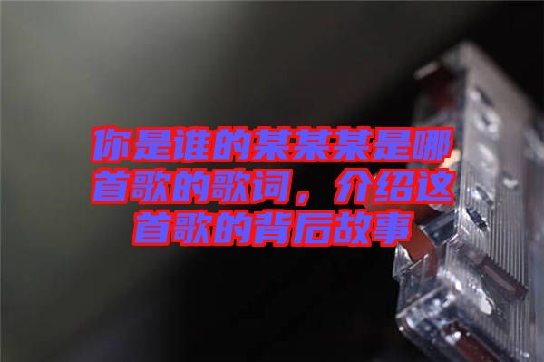 你是誰的某某某是哪首歌的歌詞，介紹這首歌的背后故事