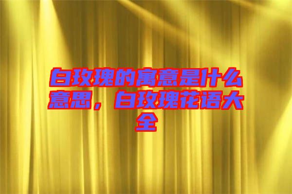 白玫瑰的寓意是什么意思,白玫瑰花語大全