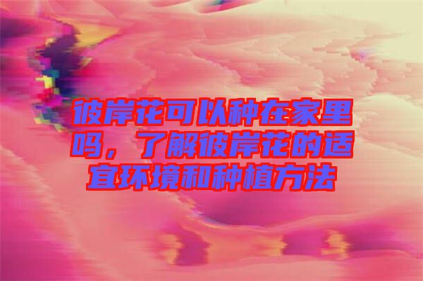 彼岸花可以種在家里嗎,了解彼岸花的適宜環境和種植方法