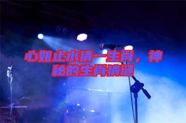 心如止水猜一生肖，神秘的生肖猜謎