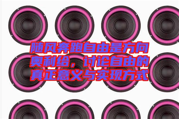 隨風奔跑自由是方向奧利給,討論自由的真正意義與實現方式