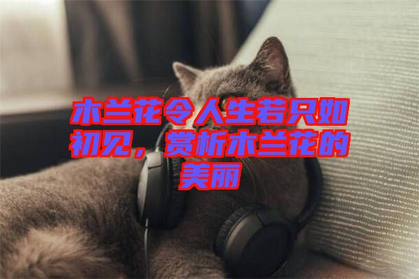 木蘭花令人生若只如初見,賞析木蘭花的美麗