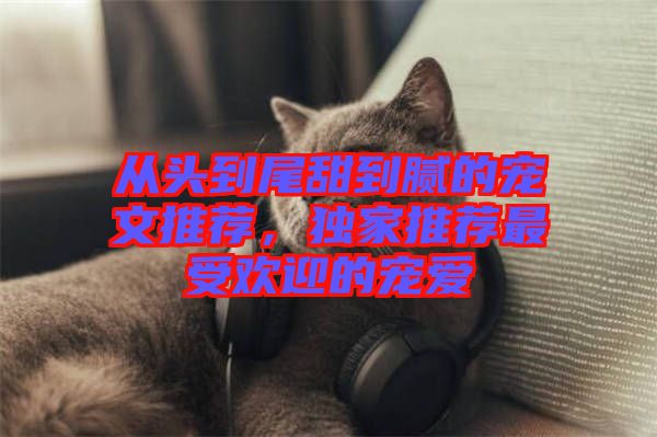 從頭到尾甜到膩的寵文推薦,獨(dú)家推薦最受歡迎的寵愛(ài)