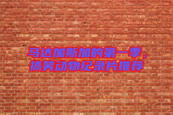 馬達加斯加的第一季,搞笑動物紀錄片推薦