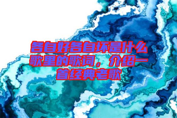 各自好各自壞是什么歌里的歌詞,介紹一首經典老歌