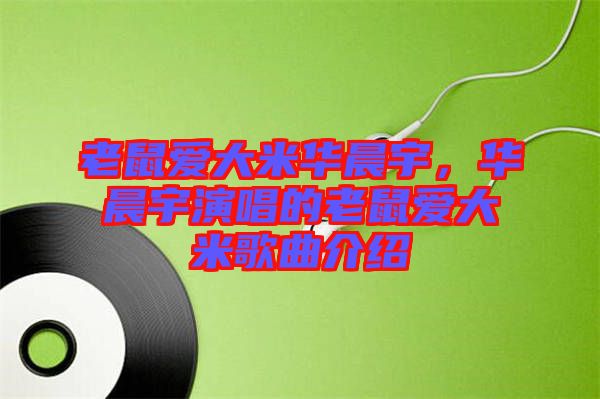 老鼠愛大米華晨宇，華晨宇演唱的老鼠愛大米歌曲介紹
