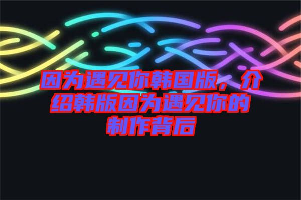 因?yàn)橛鲆娔沩n國版,介紹韓版因?yàn)橛鲆娔愕闹谱鞅澈? width=