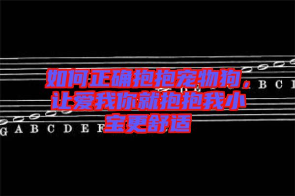 如何正確抱抱寵物狗，讓愛(ài)我你就抱抱我小寶更舒適