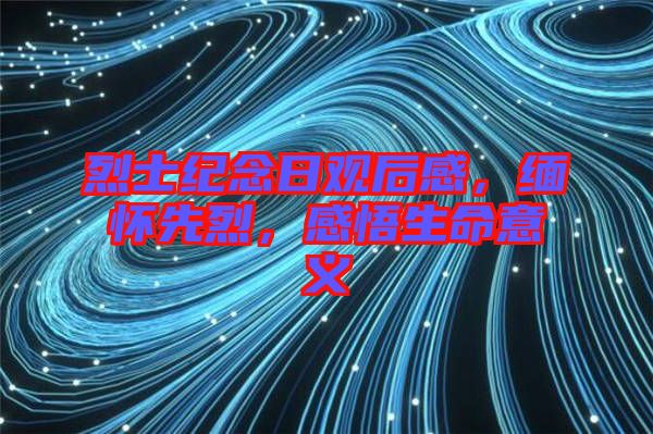 烈士紀(jì)念日觀后感，緬懷先烈，感悟生命意義