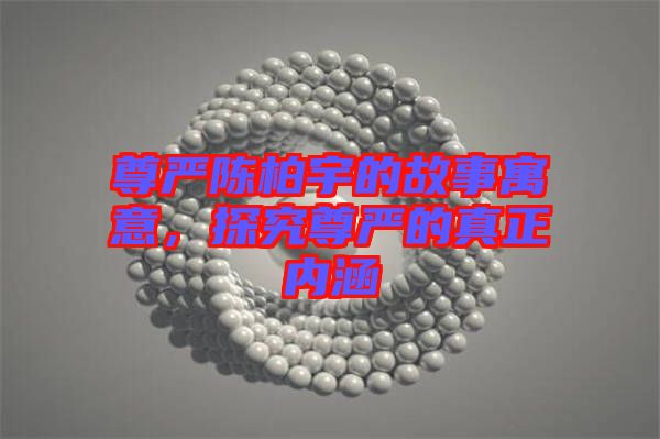 尊嚴陳柏宇的故事寓意，探究尊嚴的真正內涵