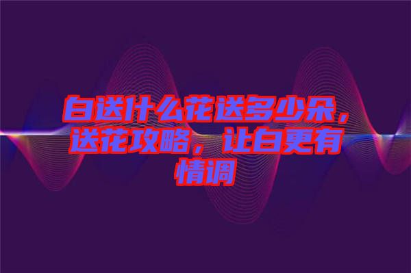 白送什么花送多少朵,送花攻略,讓白更有情調