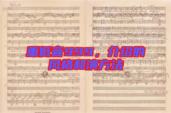 重低音999,介紹的風格和演方法