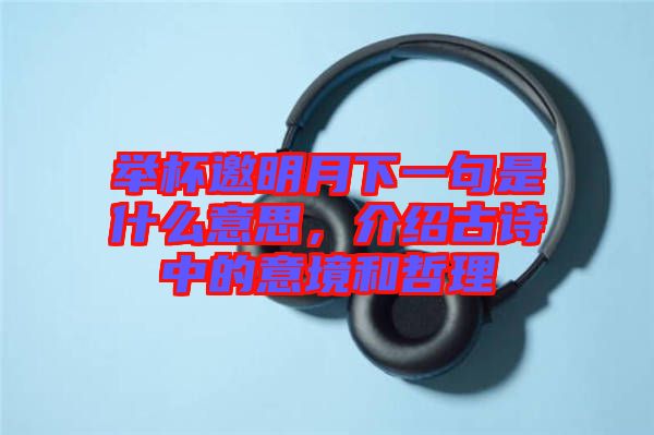 舉杯邀明月下一句是什么意思,介紹古詩中的意境和哲理