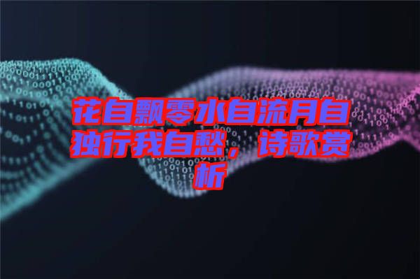 花自飄零水自流月自獨行我自愁,詩歌賞析