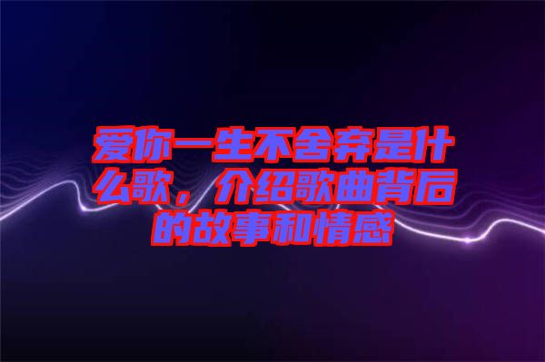 愛你一生不舍棄是什么歌，介紹歌曲背后的故事和情感