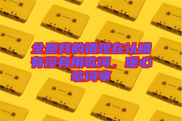 全是我的錯現在認錯有沒有用歌詞,暖心歌詞享