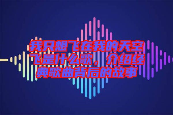 我只想飛在我的天空飛是什么歌，介紹經典歌曲背后的故事