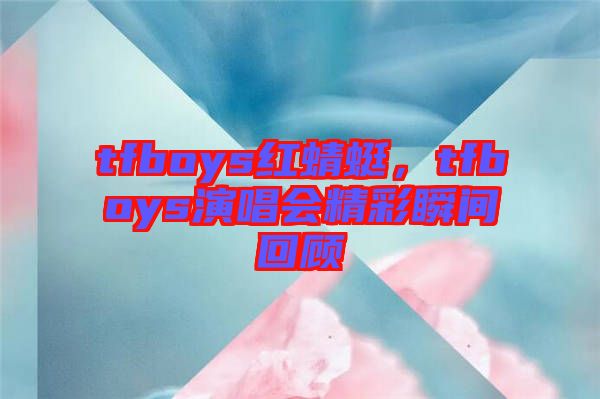 tfboys紅蜻蜓,tfboys演唱會精彩瞬間回顧