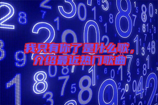 我只有你了是什么歌，介紹最近熱門(mén)歌曲