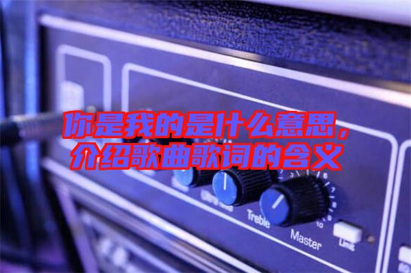你是我的是什么意思，介紹歌曲歌詞的含義