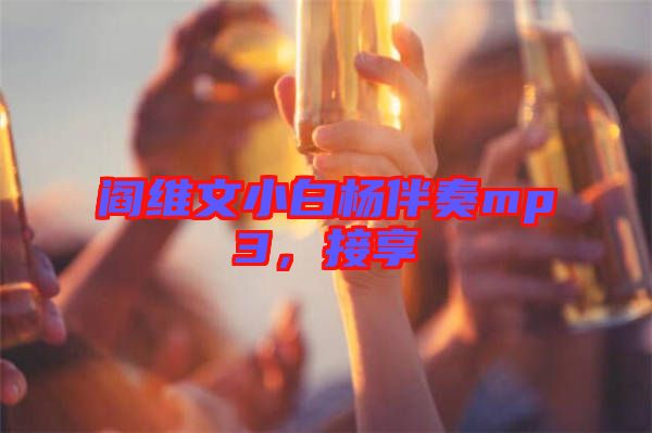 閻維文小白楊伴奏mp3,接享
