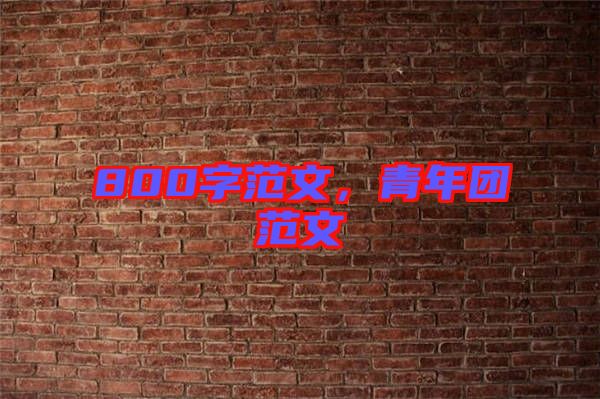 800字范文,青年團范文
