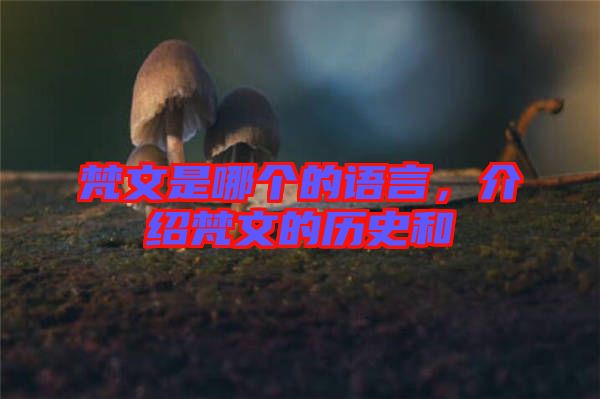 梵文是哪個的語言,介紹梵文的歷史和